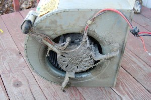 AC Blower Cleaning